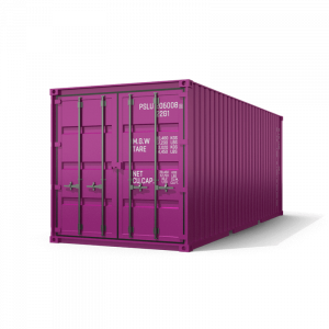 Container neuf 20 pieds ( Couleur rare )